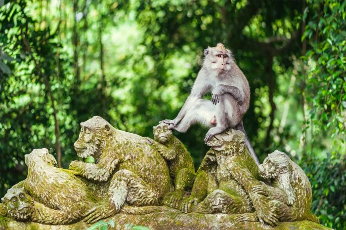 Monkey forest ubud bali palace temple tampaksiring presidential indonesia tourist review travis reviewed park general info