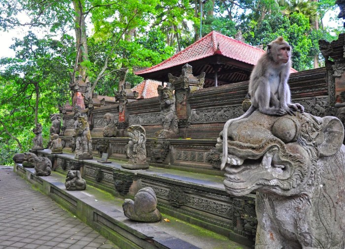 Monkey forest ubud bali indonesia